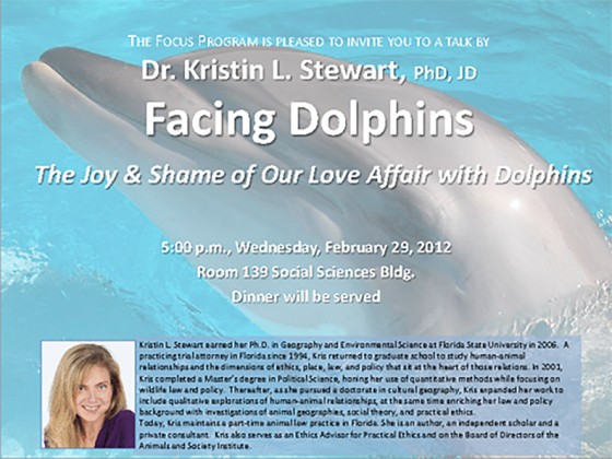 Facing Dolphins poster - old event